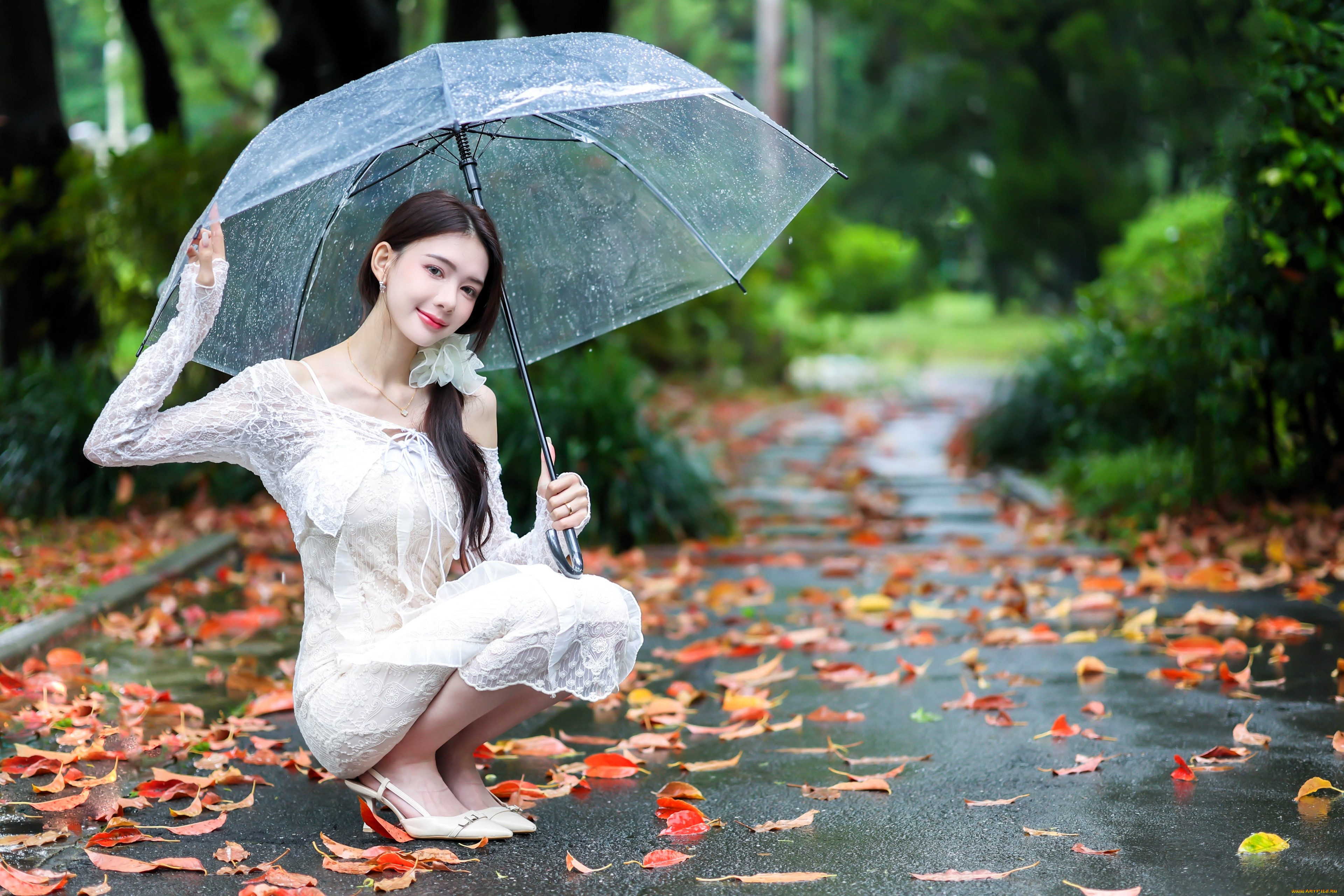 , - , , , , , , , , , , 